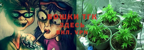 амф Магас