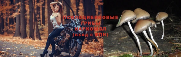 амфетамин Лабытнанги