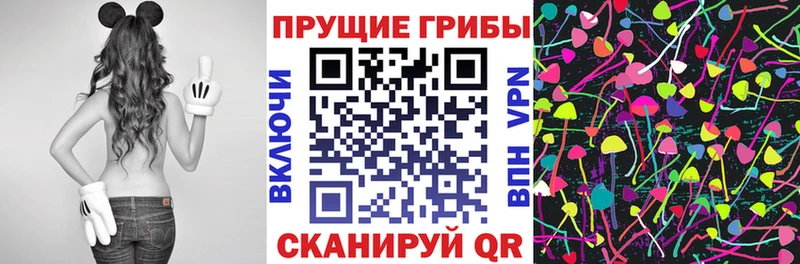 Псилоцибиновые грибы ЛСД  где купить наркотик  Суджа 